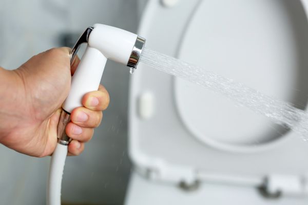 Cost of Bidet Installation in Port Saint Lucie
