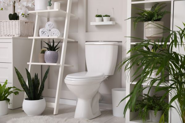 Cost of Toilet Repair in Port Saint Lucie
