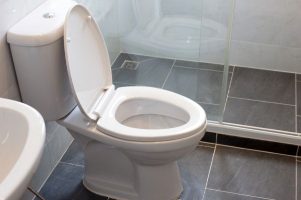 Cost of Toilet Replacement in Port Saint Lucie