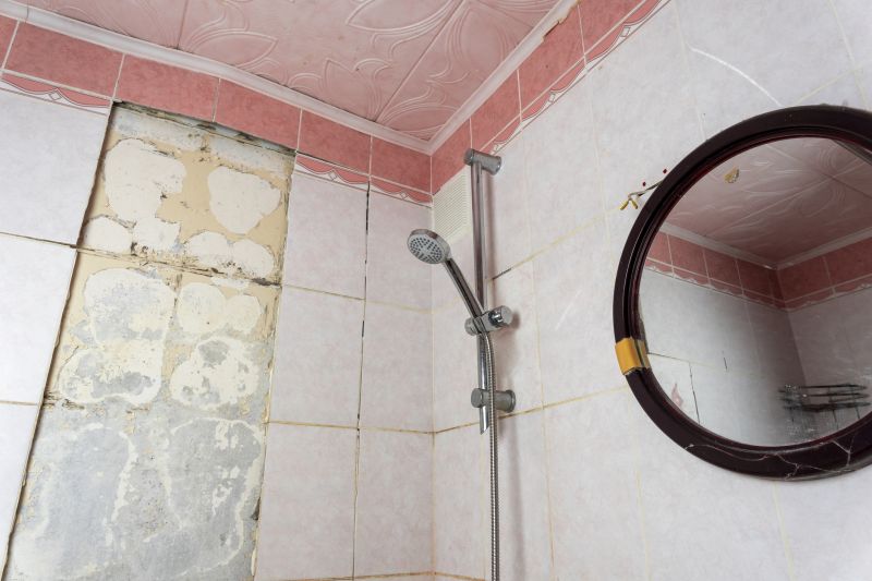 Shower Leak Repair